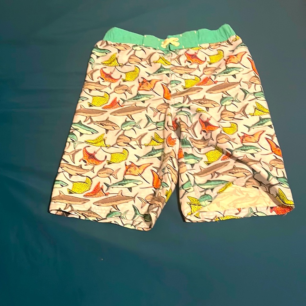 Swim Trunks Sharks